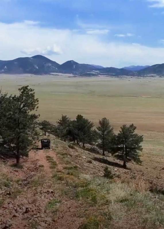 Elk Mountain Cattle Company